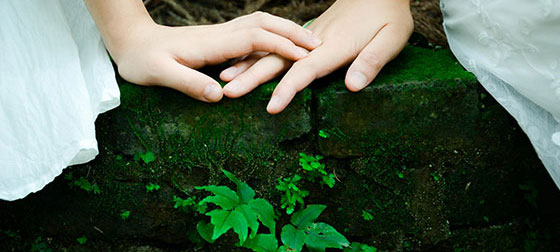 Friendship fern