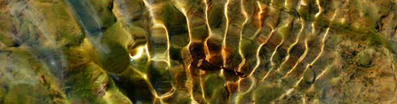 Ripple
