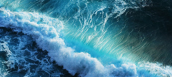 Wave and Surf
